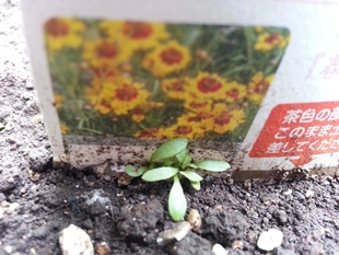 kama_2014-07-03 11.23.29.jpg