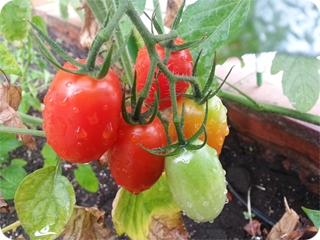 kama_2013-08-23 09.17.16.jpg