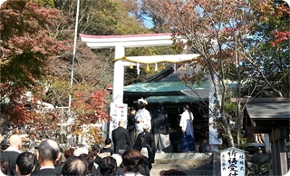 kama_2013-11-24 11.04.22.jpg