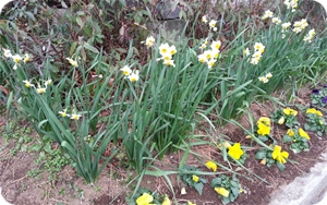 kama_2014-01-24 14.17.57.jpg