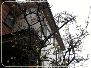 kama_2014-01-24 14.46.50.jpg