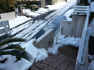 kama_2014-02-09 12.33.03.jpg