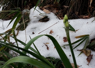 kama_2014-02-13 10.44.20.jpg