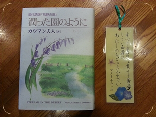 kama_2014-03-27 16.50.22.jpg