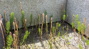 kama_2014-04-01 12.14.37.jpg