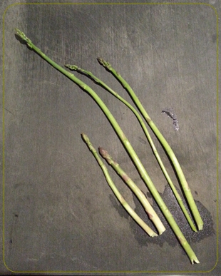 kama_2014-04-05 19.55.14.jpg