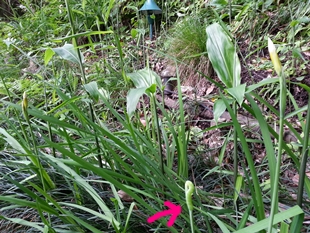 kama_2014-05-22 15.02.02.jpg