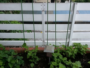 kama_2014-07-22 08.48.36.jpg