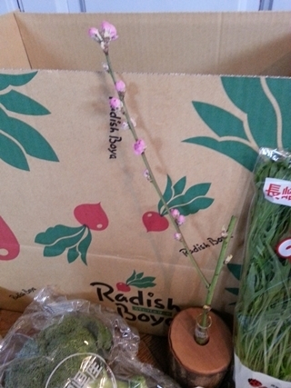 kama_2015-02-26 13.48.30.jpg