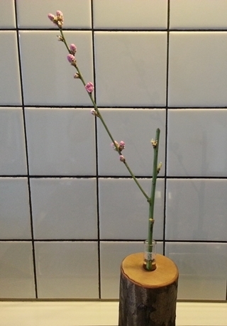kama_2015-02-26 13.49.00.jpg