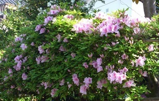 kama_2015-04-22 11.35.30_1.jpg