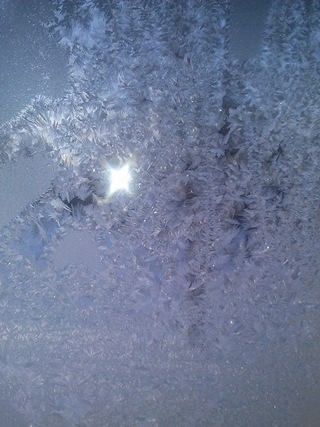 kama_freez_2014-01-06_1.jpg