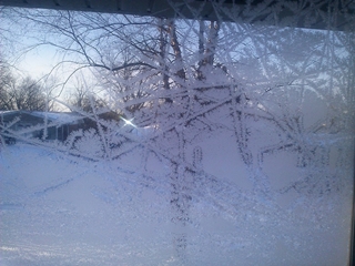 kama_freez_2014-01-06_2.jpg
