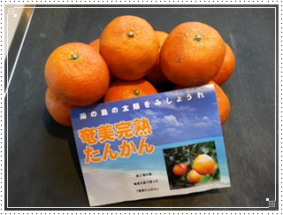 kamakura_2013-03-16 09.21.01.jpg