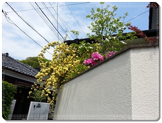 kamakura_2013-04-26 11.05.45.jpg