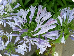 kamakura_2013-06-25 13.26.04.jpg